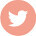 twitter4