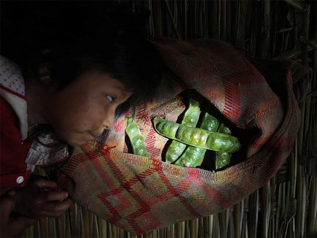 Tsimane Alimentacion 3