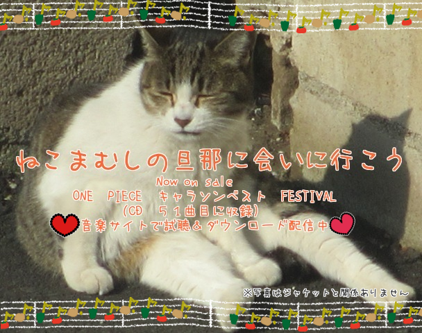 I5f14wgmofoopm