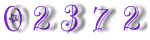Web Site Counter