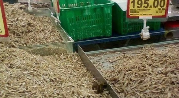 Baru² Ini VIRAL Gambar Najis Di Timbunan Ikan Bilis. Wakil Pasar Raya Tampil Jelas Cerita SEBENAR.