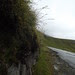 DSCF1654