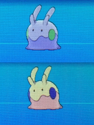 ポケモンだもの 国際孵化 色違いヌメラが誕生しました