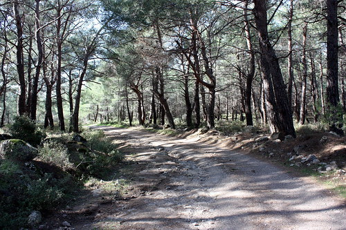 Hiking to Pessa springs