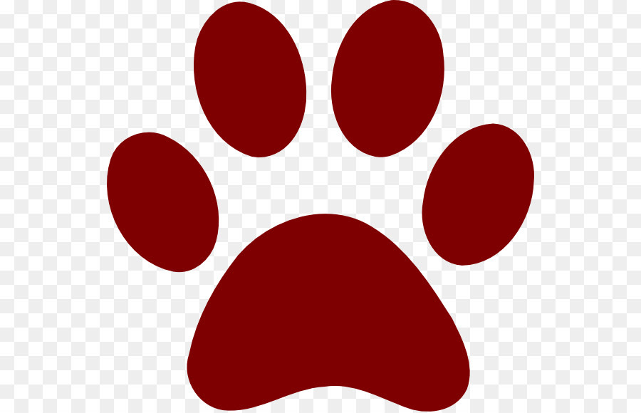 cougar paw drawing 51