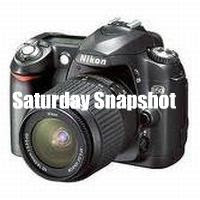  photo saturdaysnapshot.jpg