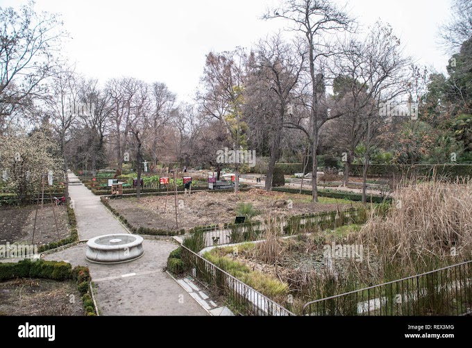Real Jardin Botanico De Madrid Tiene Pavos