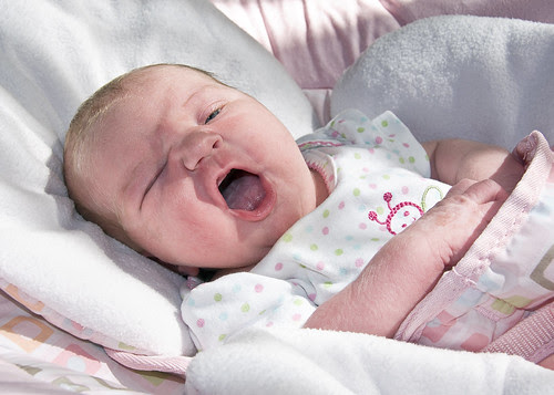 Lily yawn 4 days old