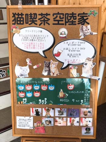 たまご 食堂 松本市 猫喫茶 空陸家
