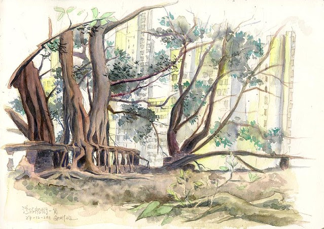 Abandoned Terrace in the Urban Jungle 船街秘密花園