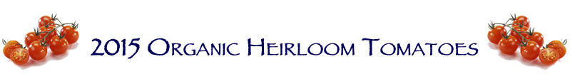 Heirloom Tomato