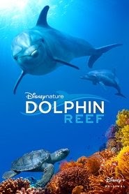 Dolphin Reef film complet gratuit vostfr 720p .fr 2018