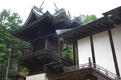 IMGP5975