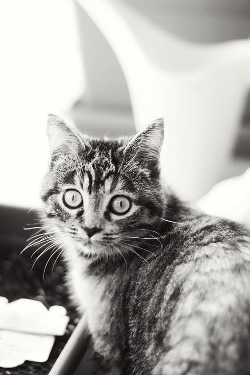 polpettina!!! <3
