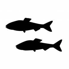 魚 シルエット イラスト