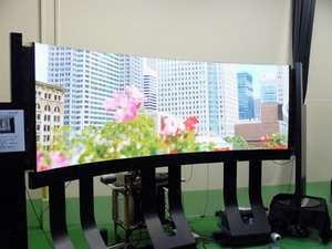 125 pollici di plasma flessibile il display
