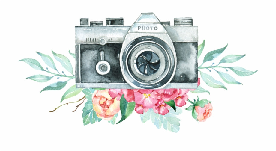 Vintage Camera Flowers Freetoedit Sk Photography Logo Hd Clip Art Library
