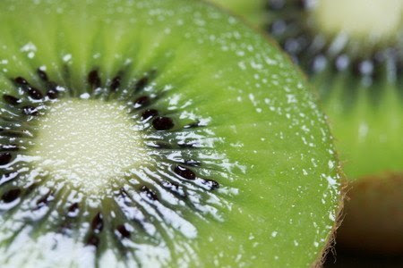 キウイフルーツ 種からの育て方