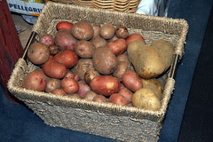 pot!  ato basket