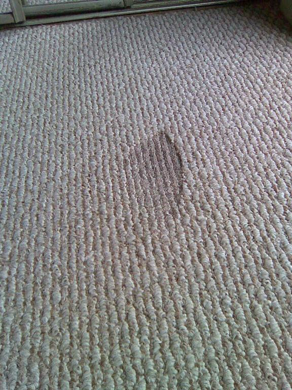 burned carpet repair