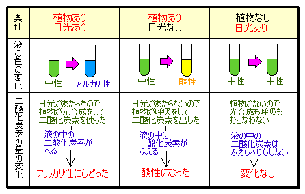光合成と呼吸