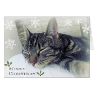 cat Christmas card