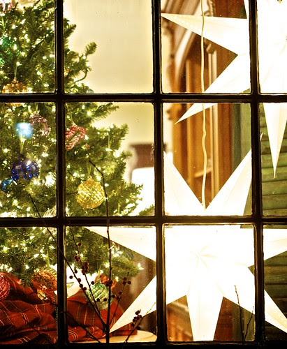 0263_GZucker1111famvar