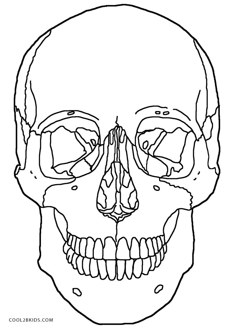Anatomy Skull Coloring Pages