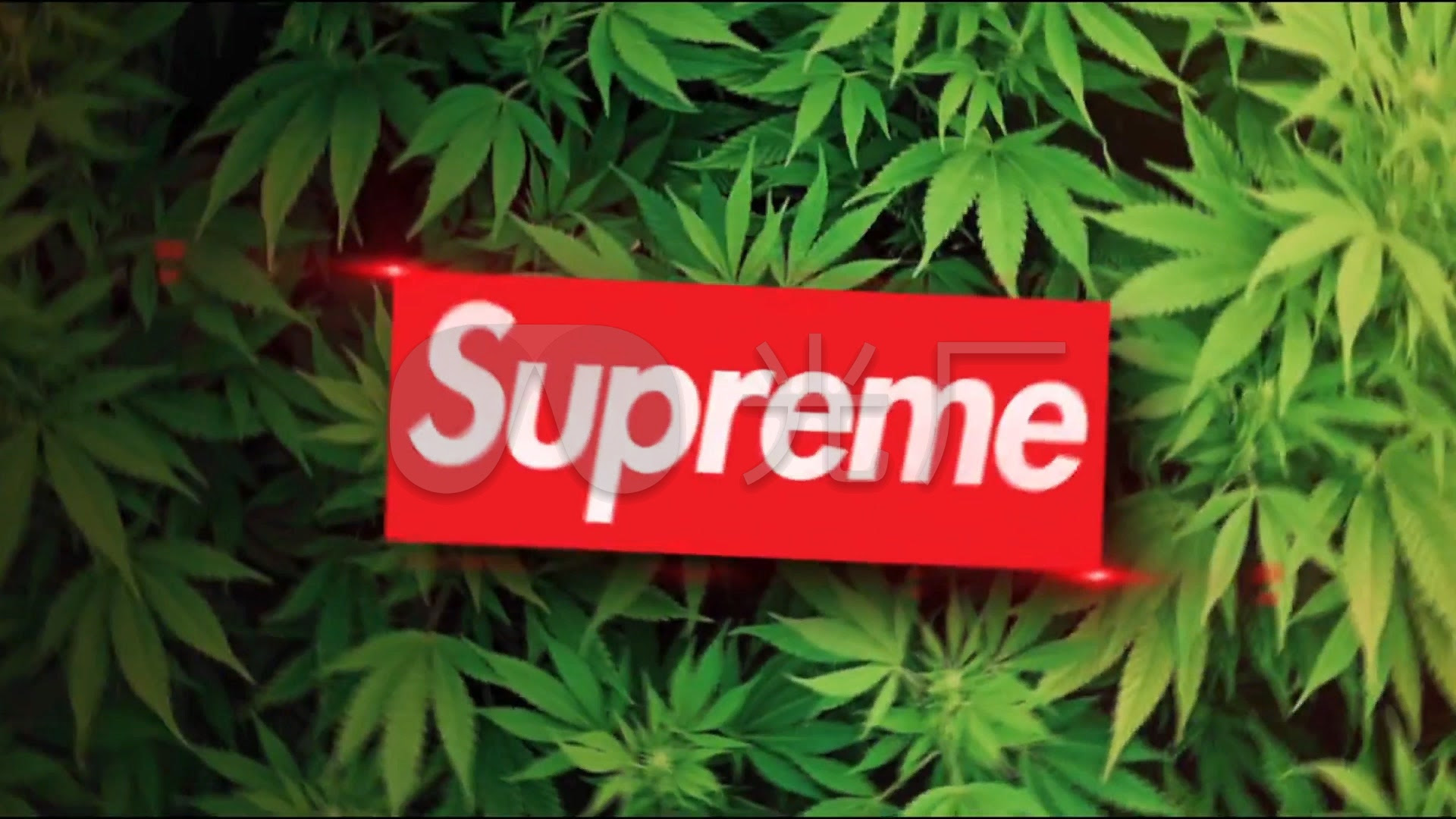 Supreme女壁纸 万图壁纸网