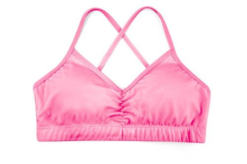 Handful Sports Bra (Pink, Large)