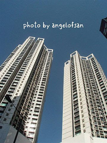 PB138298.JPG