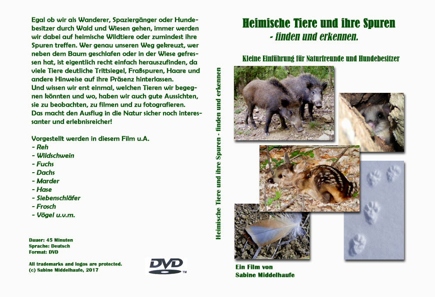 Trittsiegel Und Andere Tierspuren Wolf Fuchs Bar Luchs Marder Dachs Maus Eichhornchen