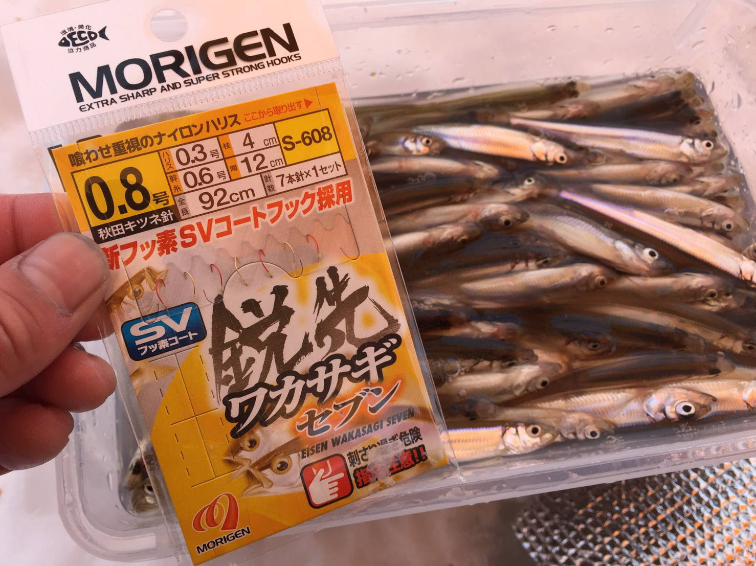 皆様からの釣果情報満載ページ タイ メバル キス カレイなど釣り針メーカー 仕掛けメーカーの株式会社もりげん