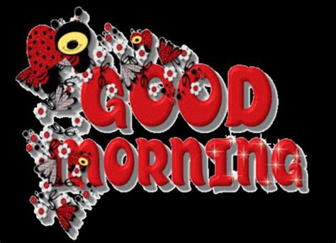 beautiful subah bakhair good morning  urdu english
