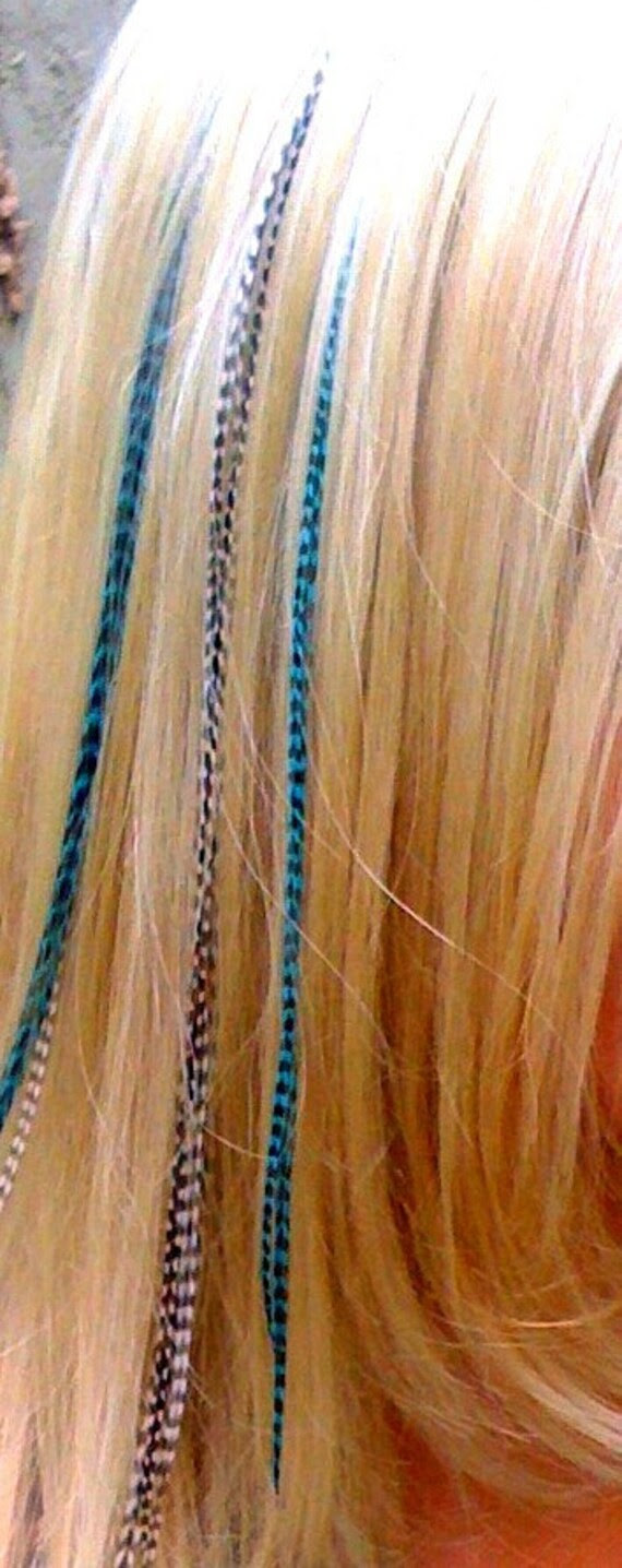 feather hair extensions san diego. Feather Hair Extensions Lowest