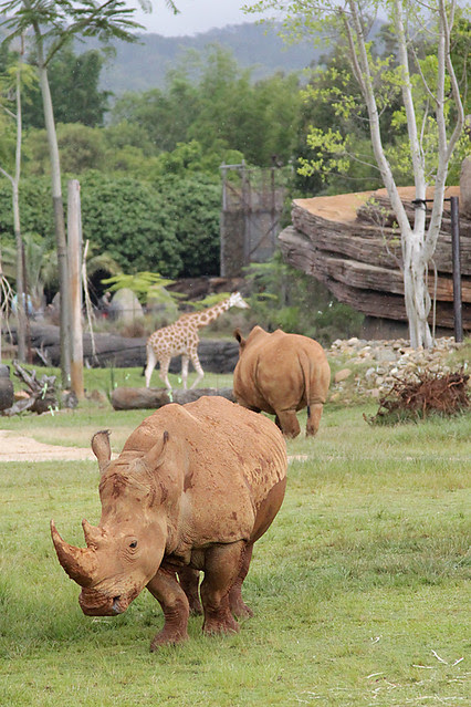 AustraliaZoo18