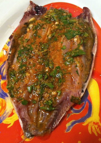 Grilled Moroccan Sardins