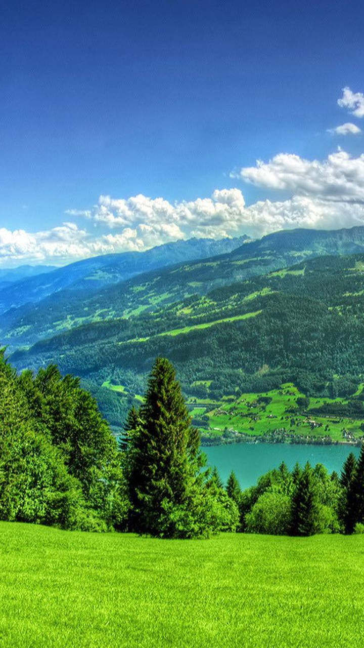 720x1280 HD Wallpapers for Mobile - WallpaperSafari, wallpaper hd 720x1280 flower