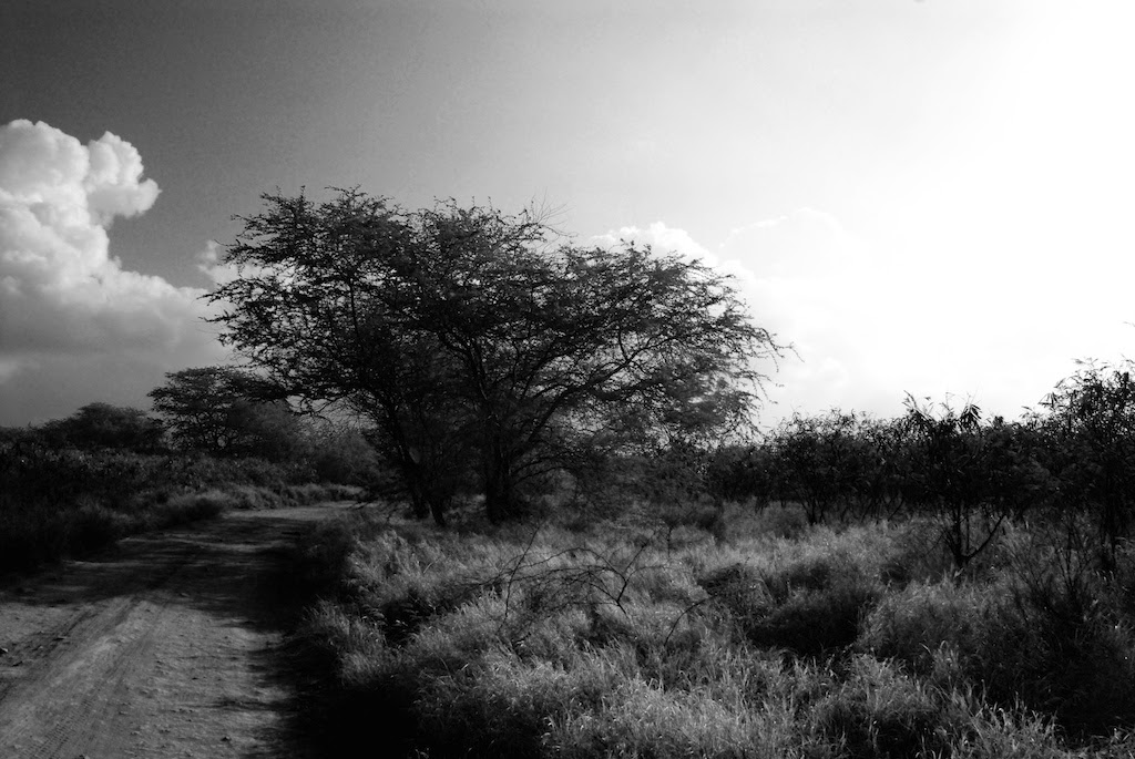 Kauai bw 01
