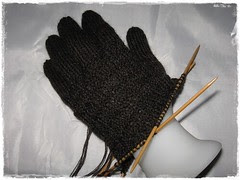 fingerhandschuhe2009.2c