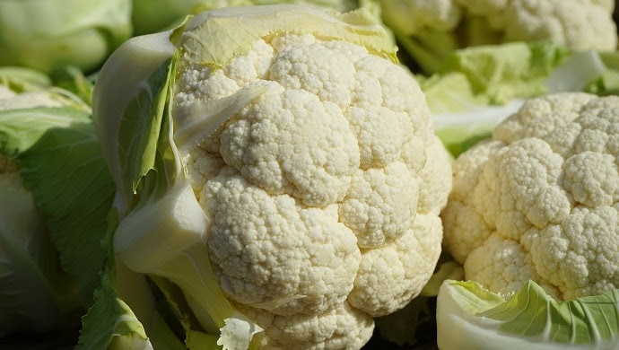 野菜の花言葉一覧 50の野菜に付けられた言葉が意外すぎる 花言葉マップ