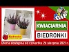 BIEDRONKA | Oferta od Czwartku 26.08.2021 | Kwiaciarnia Biedronki