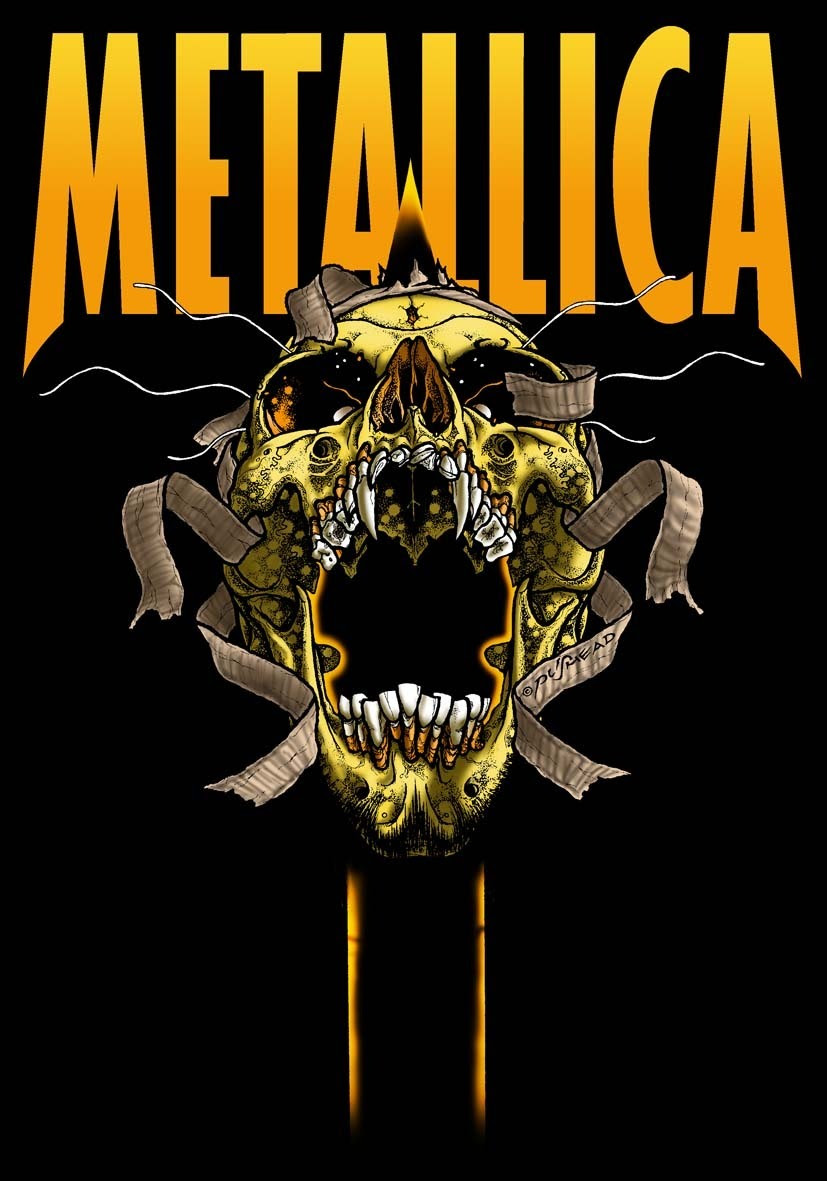 Metallica Wallpaper Metallica Photo Fanpop
