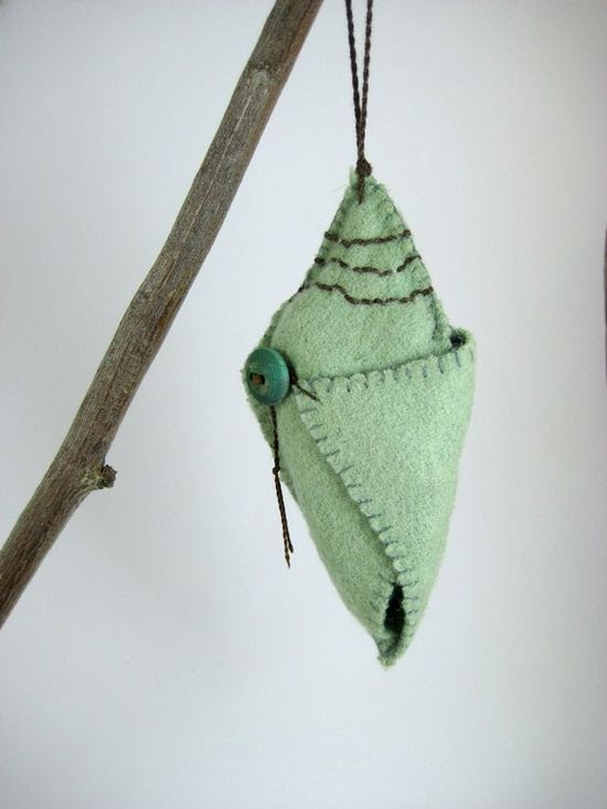 Life Cycle of Butterflies toy