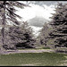 Park