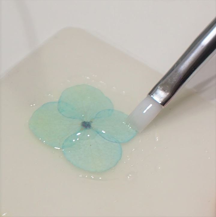 押し花 ドライフラワー のuvレジンコーティングの作り方 Happyresin
