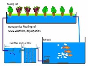 Inspirasi 31+ Floating Raft System
