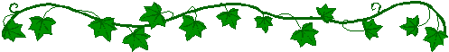ivy