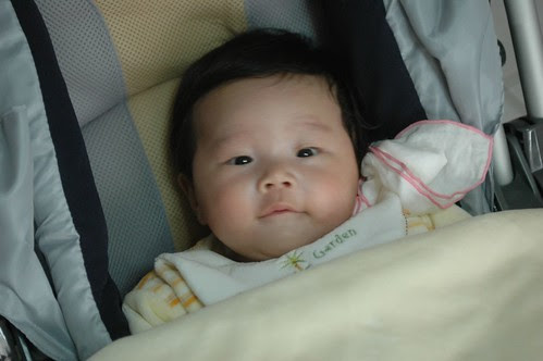 Mar11 照 part 5