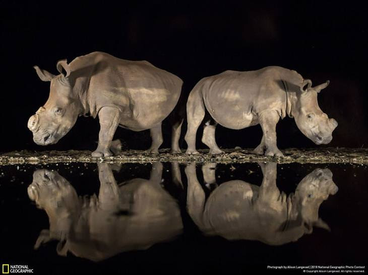 national-geographic